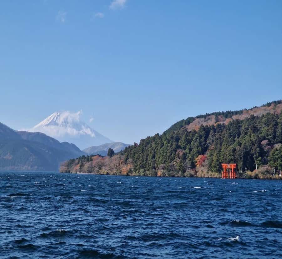 Nikko: Private Hakone Nature & Culture Day Trip - Who Should Consider This Tour?  