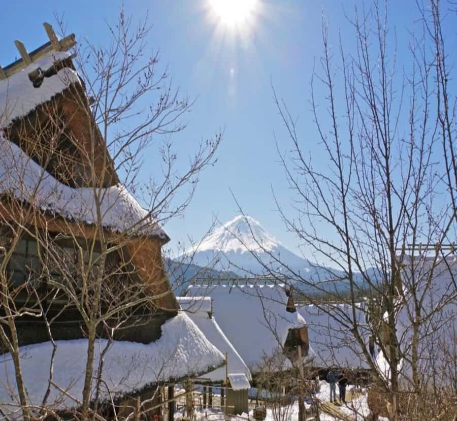 Nikko: Private Mount Fuji Day Trip with Hotel Pickup - The Sum Up: Is This Tour Worth It?