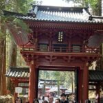 Nikko Private Tour To-and-From Tokyo up to 12 Guests - A Typical Day in Nikko: What You’ll See and Do