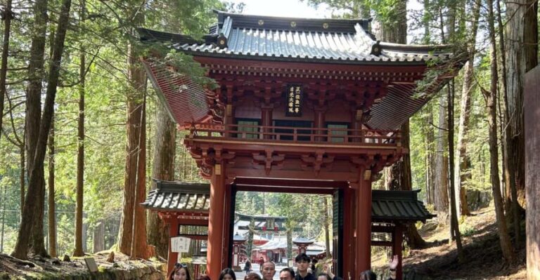 Nikko Private Tour To-and-From Tokyo up to 12 Guests - A Typical Day in Nikko: What You’ll See and Do