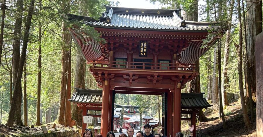 Nikko Private Tour To-and-From Tokyo up to 12 Guests - A Typical Day in Nikko: What You’ll See and Do