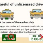 Nikko Private Trip from Tokyo with a Local English Guide - Final Thoughts: Is It Worth It?