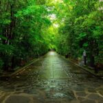 Nikko: Sacred Mountains, Shoguns, & Japans Spiritual Heart - Practical Details and What You Can Expect