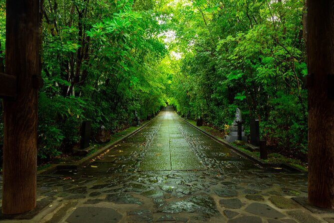 Nikko: Sacred Mountains, Shoguns, & Japans Spiritual Heart - Practical Details and What You Can Expect
