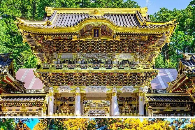 Nikko Shrine Day Tour from Tokyo or Shinjuku - Practical Considerations: What You Should Know