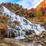 NikkoToshogu Shrine, Kegon Falls & Lake Chuzenji with Guide - What Travelers Can Expect