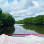Nilaveli: Lagoon Boat Safari with Mangrove Exploration - Booking & Practical Tips