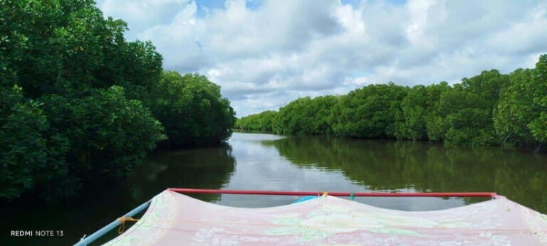 Nilaveli: Lagoon Boat Safari with Mangrove Exploration - Booking & Practical Tips