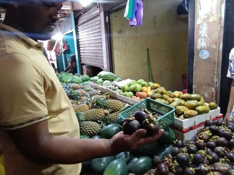 Nilaveli: Trinco City tour by Tuk Tuk - Deep Dive into the Experience