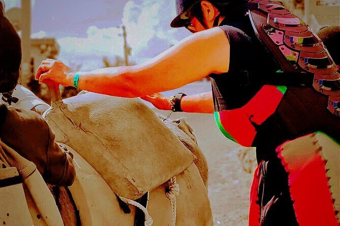 Nine Mile Ocho Rios Natural Attraction Tour - Why This Tour Offers Good Value