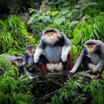 Ninh Binh: Cuc Phuong Jungle Trek, Wildlife & Ancient Caves - How It All Adds Up: Value and Practicalities