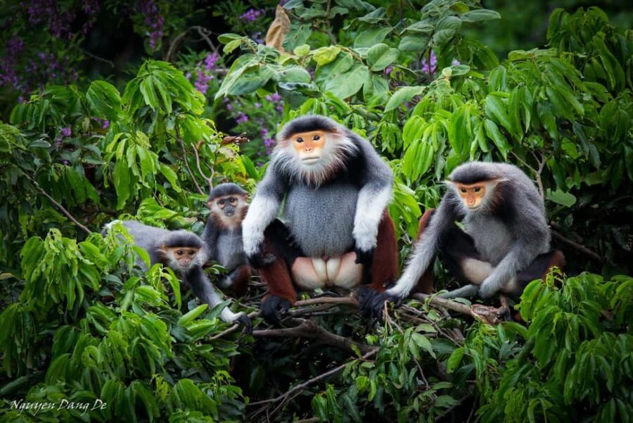 Ninh Binh: Cuc Phuong Jungle Trek, Wildlife & Ancient Caves - How It All Adds Up: Value and Practicalities