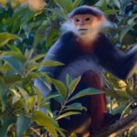 Ninh Binh: Full-Day Trekking Explore Cuc Phuong National Park - Potential Drawbacks and Considerations