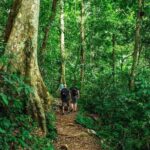 Ninh Binh: Full-Day Trekking Explore Cuc Phuong National Park - What to Expect and What to Bring