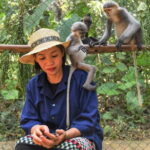 Ninh Binh One Day Cuc Phuong National Park Small Group Tour - Practical Aspects & Tips