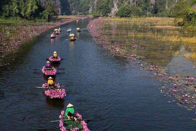 Ninh Binh Tam Coc Tour with Boat Trip and Lunch - The Balance of Price and Experience