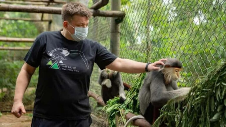 Ninh Binh: Wildlife, Jungle Hike, Cuc Phuong Park Guide Tour - Whats the Real Value?  