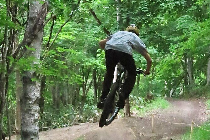 Niseko Mountain Biking Tour - Authentic Insights from Past Participants