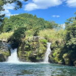 Nishiusuzuka: Fuji Forest Hiking Tour with Guide & Transfer - An In-Depth Look at the Fuji Forest Hike