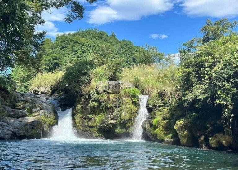 Nishiusuzuka: Fuji Forest Hiking Tour with Guide & Transfer - The Itinerary in Detail