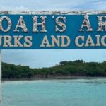 Noahs Ark Catamaran Trip - What’s Included and What to Bring
