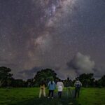 Nocturnal Wonders Tawharanui Kiwi Spotting and Stargazing Tour - Who Would Love This Tour?