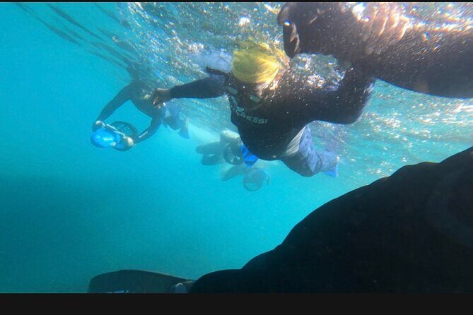 Non Swimmers Discovery Tour ocean - Practical Details and Tips