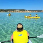Noosa: Epic Ocean Kayak with Dolphins & 4WD Beach Adventure - A Detailed Look at the Noosa Ocean & Beach Adventure