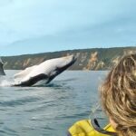 Noosa: Epic Whale Watching Ocean Kayak Tour & Beach 4X4 - What Makes This Tour Stand Out?