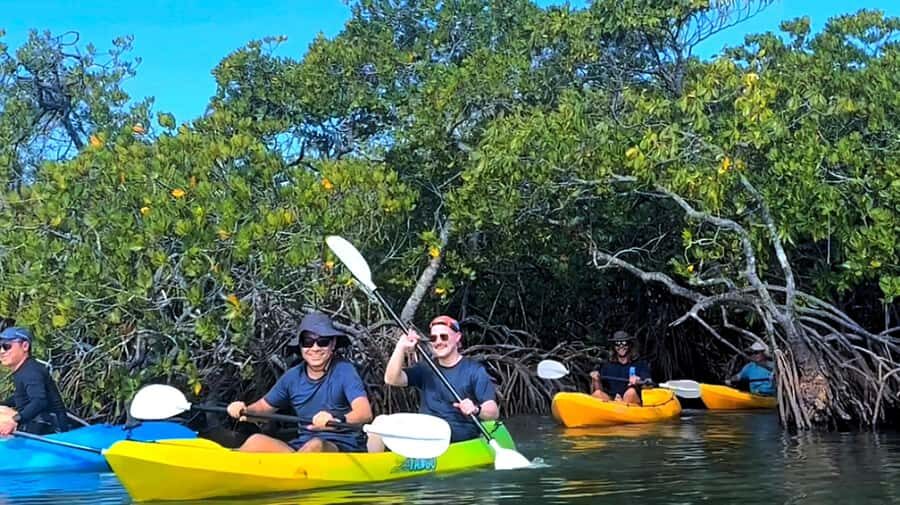 Noosa Heads: Hidden Waterways Wildlife Kayak (Self-Guided) - Who Will Love This Tour?