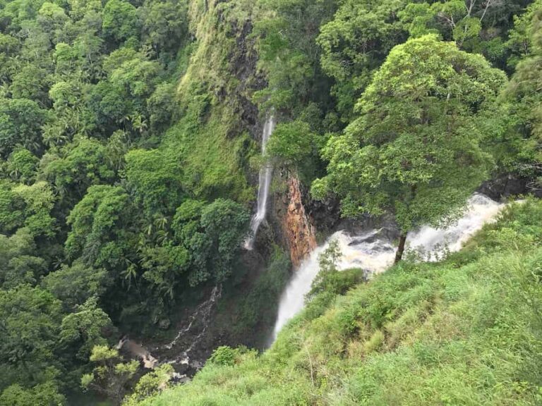 Noosa: Maleny & Montville Tour with Lunch & Wine Tasting - What Makes This Tour Stand Out