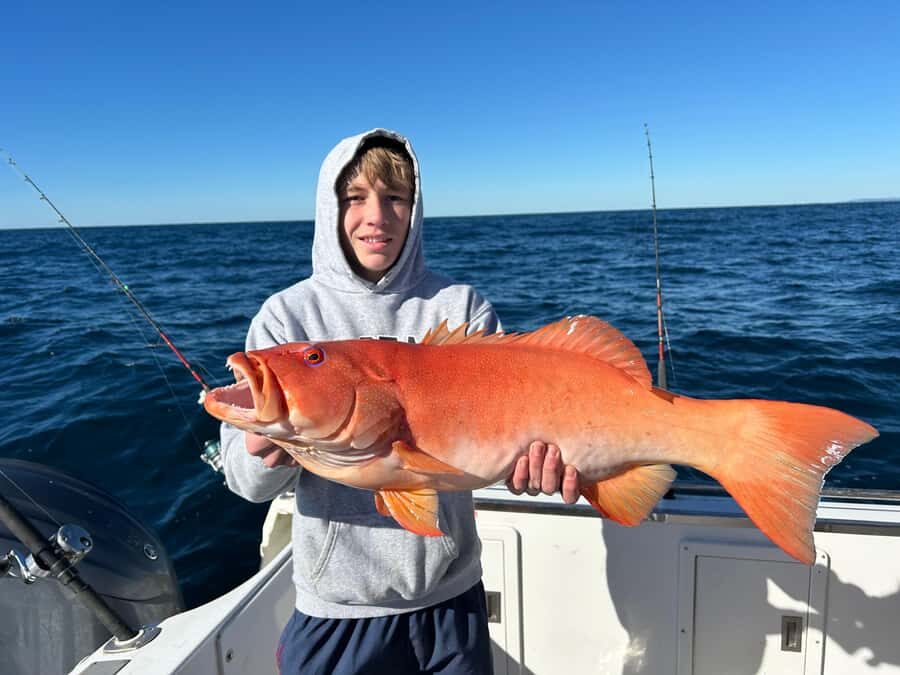 Noosa: Offshore Fishing Charter - The Journey to the Fishing Grounds