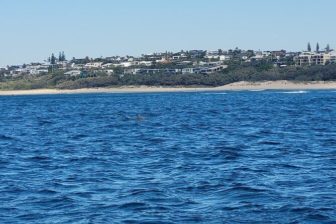 Noosa Surfing and Snorkel Boat Charters to Sunshine Coast in QLD - Why This Tour Stands Out