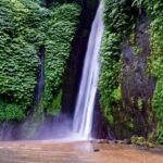 North Bali: Explore Munduk Waterfall Trekking Experience - Practical Details and Value