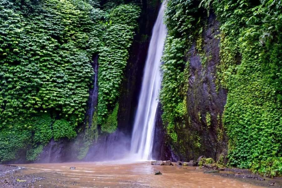 North Bali: Explore Munduk Waterfall Trekking Experience - Practical Details and Value