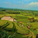North Bali Grand Tour with Local Guide - Practical Details and Value