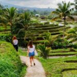 North Bali Nature and Heritage Private Tour - What’s Included and What to Expect