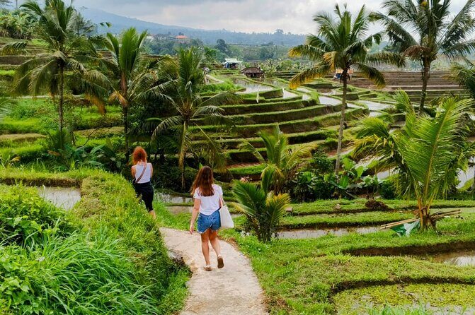 North Bali Nature and Heritage Private Tour - What’s Included and What to Expect