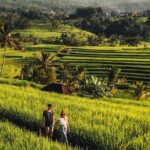 North Bali Private Trip UNESCO Site Lakes Temple and Waterfall - What’s Included and What to Expect