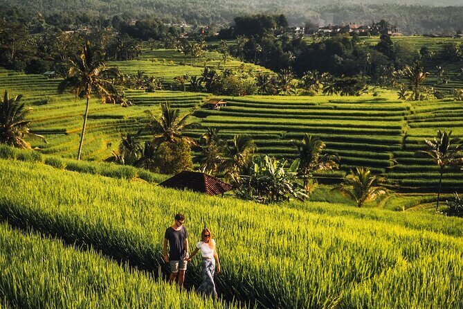 North Bali Private Trip UNESCO Site Lakes Temple and Waterfall - What’s Included and What to Expect