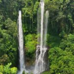 North Bali: Sekumpul and Banyumala Waterfalls & Rice Terrace - Why This Tour Works: The Highlights