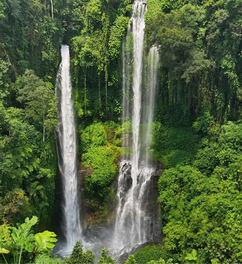 North Bali: Sekumpul and Banyumala Waterfalls & Rice Terrace - Why This Tour Works: The Highlights