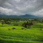 North Bali: Taman Ayun Temple, Jatiluwih, Campuhan Waterfall - The Value of the Experience