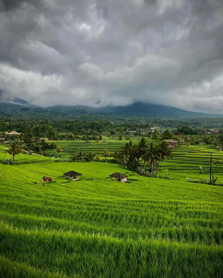 North Bali: Taman Ayun Temple, Jatiluwih, Campuhan Waterfall - The Value of the Experience
