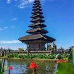 North Bali Tour - What to Expect from the North Bali Tour