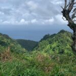 North Coast Dominica Sightseeing Day Tour - Practical Details: Transportation, Cost, and Group Size
