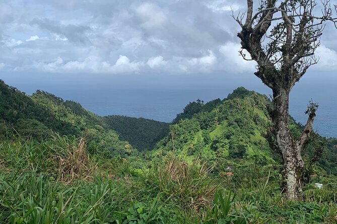 North Coast Dominica Sightseeing Day Tour - Practical Details: Transportation, Cost, and Group Size