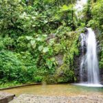 North Part Of Martinique Island Private Tour - What Travelers Should Know
