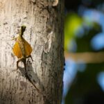 North Sulawesi, Bitung: Tangkoko Wildlife Adventure - What Travelers Have Said