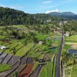 North Sulawesi: Tomohon Nature & Culture Private Guide Tour - Cultural Insights at the Market and Museum